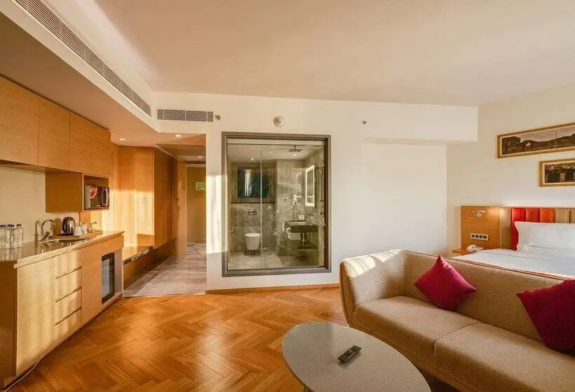 プレミアムルーム, Novotel Vijayawada Varun