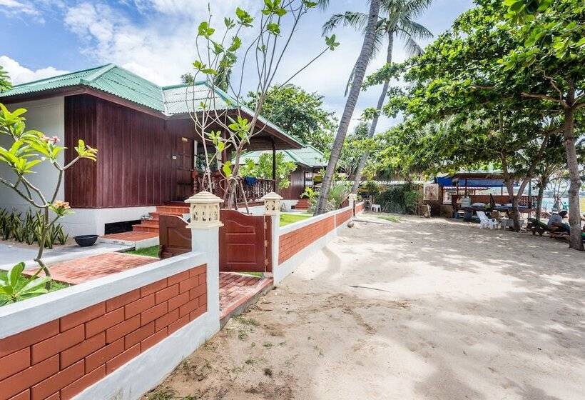 بنجلو قياسى, Lamai Coconut Beach Resort