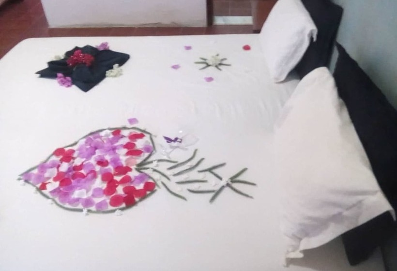 اتاق استاندارد, Limeira