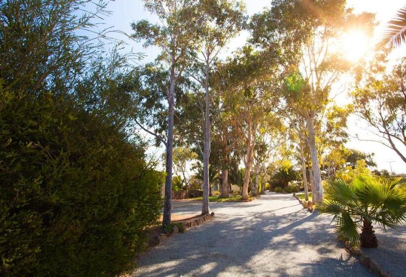 آپارتمان خانوادگی, Modra's Apartments
