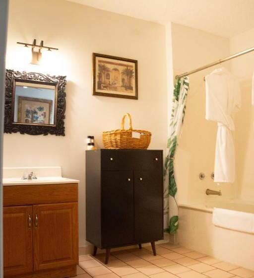 Стандартный Номер Кровать Кинг, Agustin Inn   Saint Augustine   Adults Only