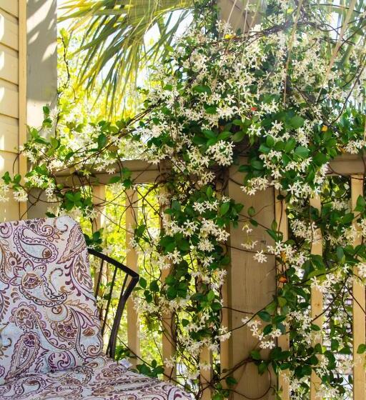 غرفة قياسية مزوَّدة بشُرفة, Agustin Inn   Saint Augustine   Adults Only