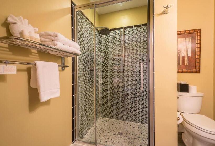 غرفة قياسية سرير كينج, Agustin Inn   Saint Augustine   Adults Only