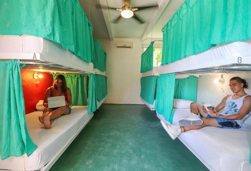 공동 객실, Wabi Hostel