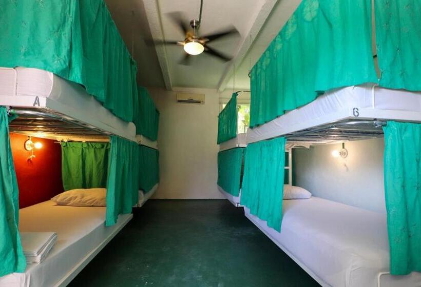 공동 객실, Wabi Hostel