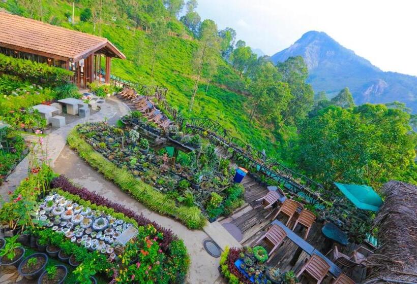 シングルデラックスルーム, Ella Flower Garden Resort