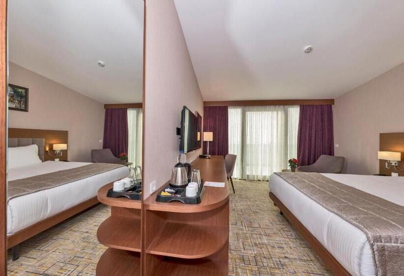 اتاق استاندارد یک نفره, Land Park