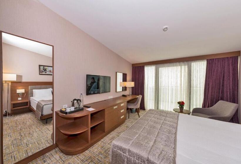 اتاق استاندارد, Land Park