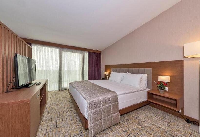 Suite with Terrace, Land Park