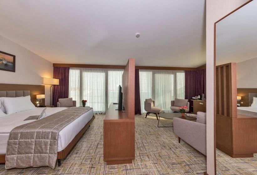 Suite with lake view, Land Park