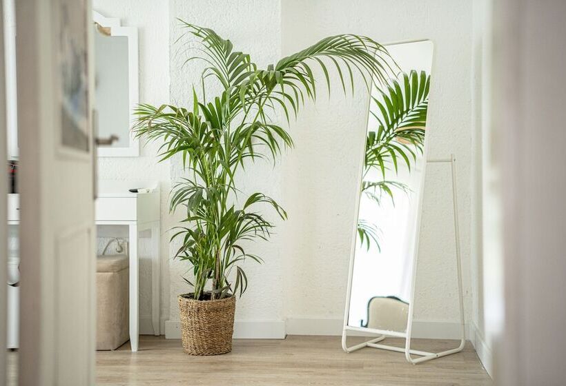 Camera Deluxe, Sandal Alaçatı   Adult Only