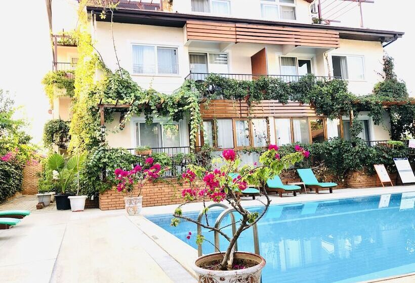 スタンダードルーム, Ten Apart