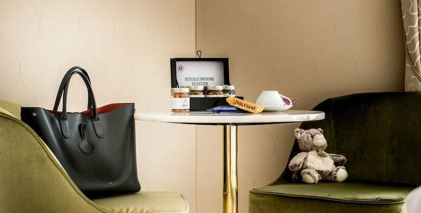 اتاق اجرایی, Boscolo Lyon Hotel & Spa