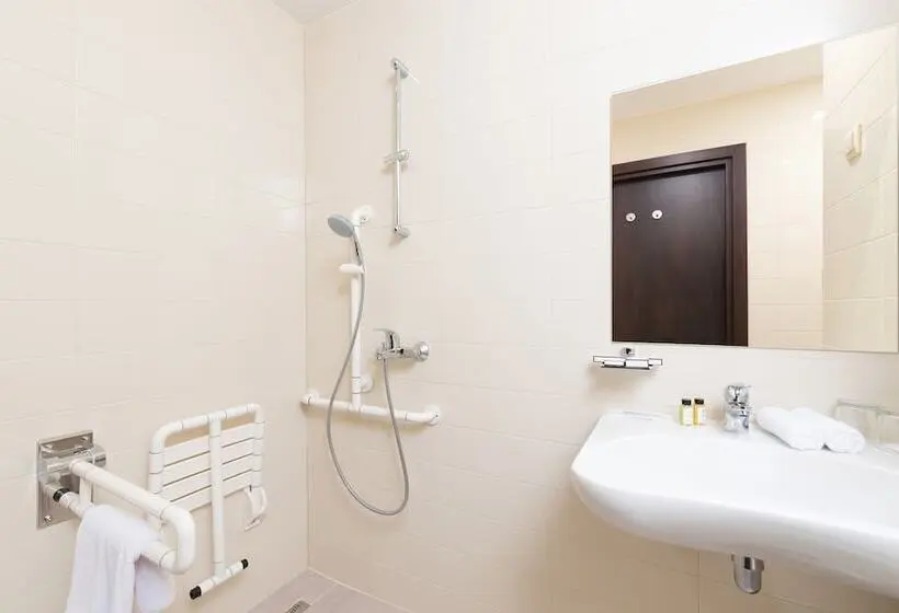 Habitación Estándar Adaptada para Discapacitados, Armat