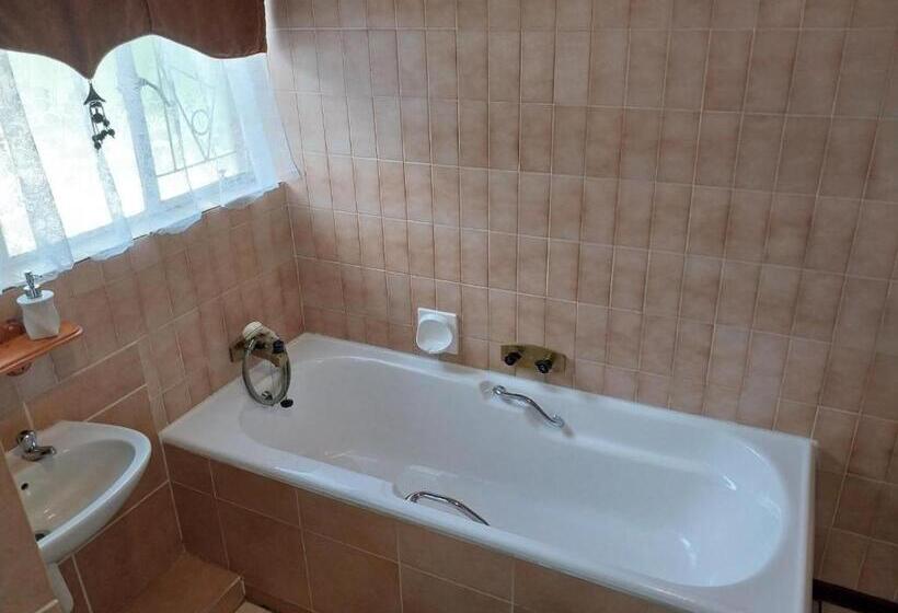 コンフォートルーム, Lily Guesthouse