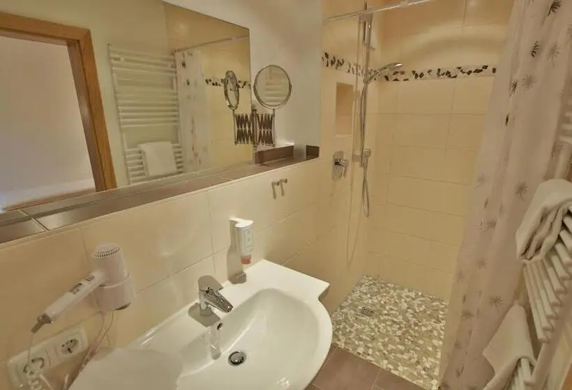 スタンダードルーム, Pension Schweizerhaus Garni