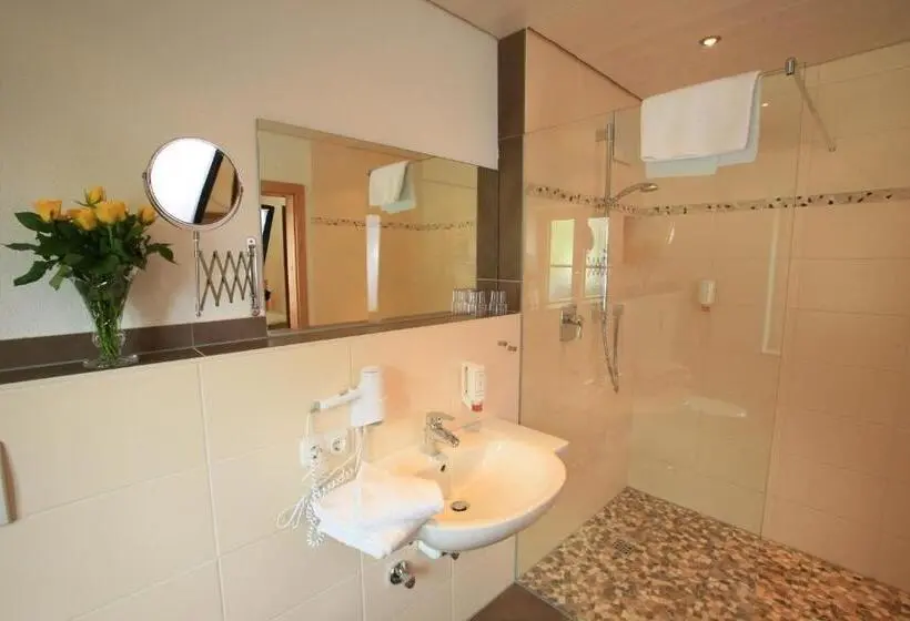 スタンダードルーム, Pension Schweizerhaus Garni