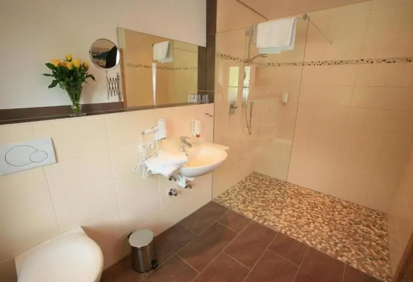 スタンダードルーム, Pension Schweizerhaus Garni