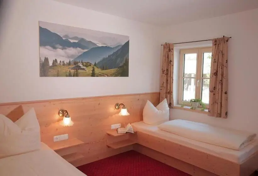 スタンダードルーム, Pension Schweizerhaus Garni