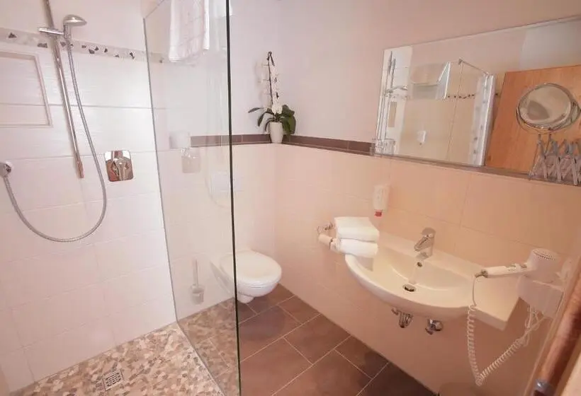 コンフォートルーム, Pension Schweizerhaus Garni