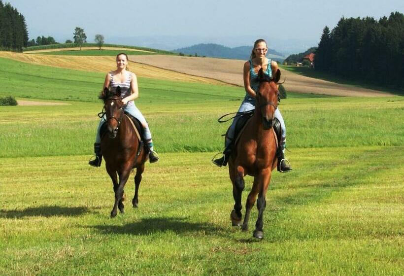 חדר סטנדרט, Sportpension Ramlhof