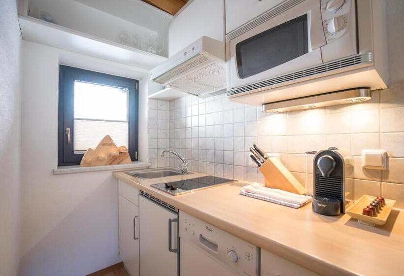 شقة غرفة نوم واحدة مزودة بشُرفة, Apart Reinstadler