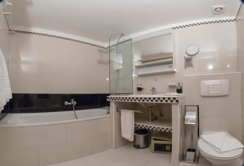 Deluxe-studio, Appart'hôtel Residence Dizerens