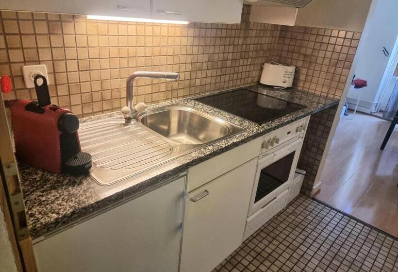استودیوی لوکس, Appart'hôtel Residence Dizerens