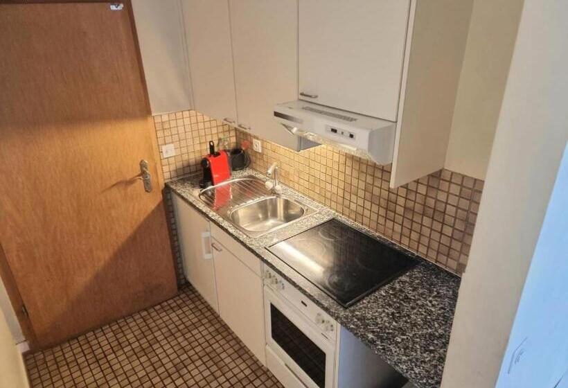 Deluxe-studio, Appart'hôtel Residence Dizerens