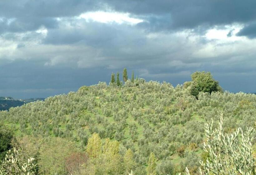 メゾネットスイート, Il Borghetto Country Inn