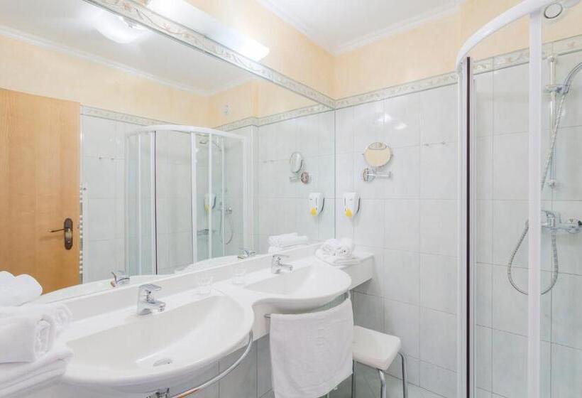 غرفة قياسية مطلة على الجبل, Hubertus Alpine Living