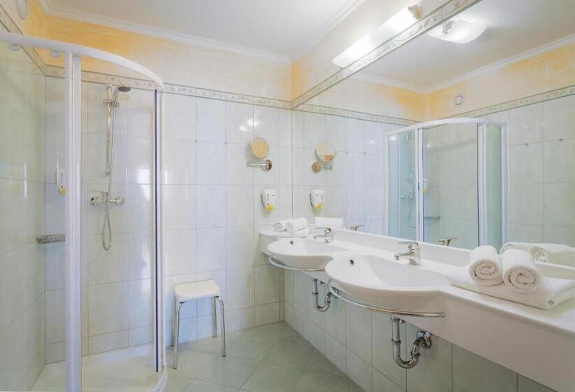 غرفة قياسية مطلة على الجبل, Hubertus Alpine Living