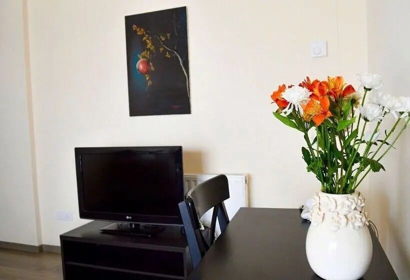 آپارتمان سوپریور 2 خوابه, Lordos Hotel Apartments Nicosia