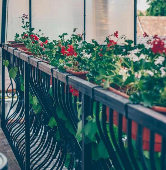 패밀리 룸, Gasthof Sara