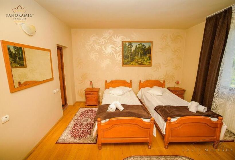 스탠다드 룸, Panoramic Cetatuie