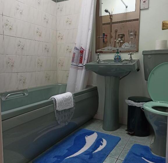 חדר בסיסי, The Ferry Boat