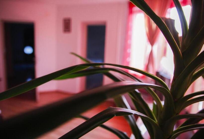 バスタブ付きスタンダードルーム, Villa Grande