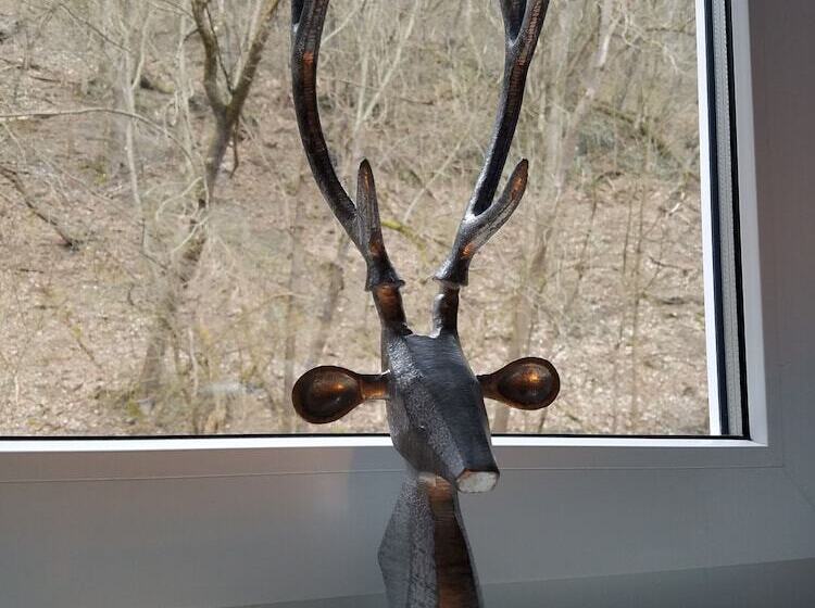 스탠다드 싱글 룸, Zur Luppbode