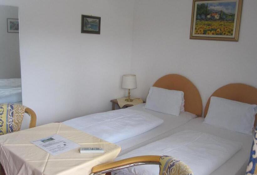 스탠다드 룸 호수 전망, Pension Sedlak