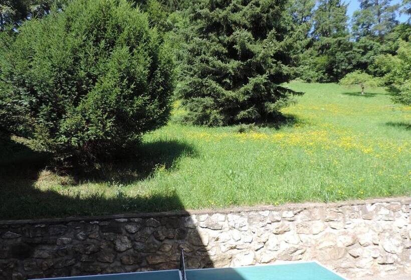 스탠다드 싱글 룸, Pension Sedlak