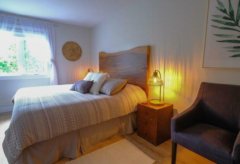 带大床的豪华间, Le Pimbina