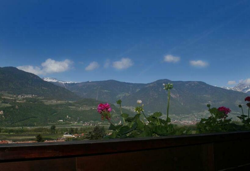 标准间带阳台, Pension Sonnheim