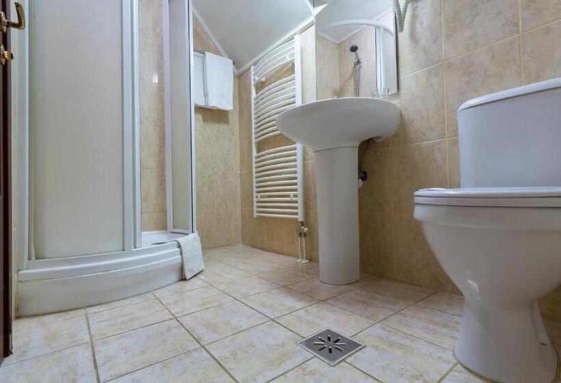 スタンダードルーム, Casa Danielescu