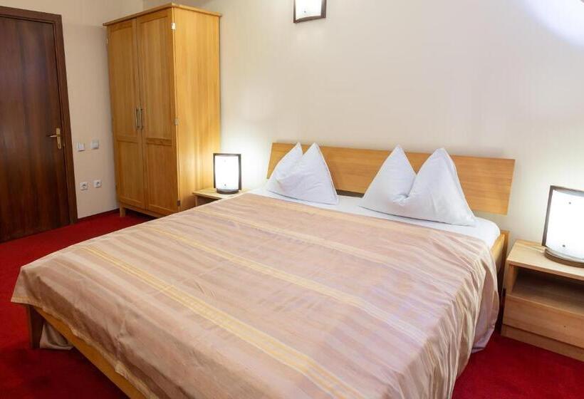 スタンダードシングルルーム, Casa Danielescu