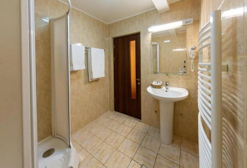 スタンダードシングルルーム, Casa Danielescu