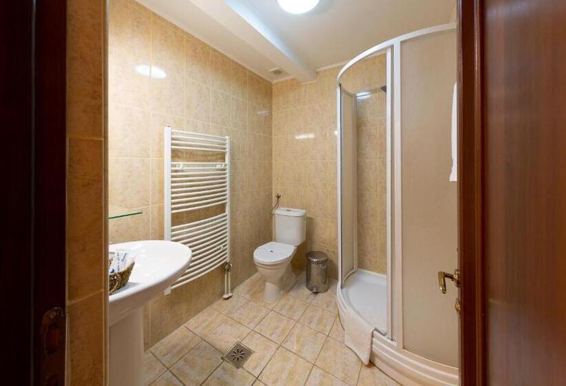 スタンダードシングルルーム, Casa Danielescu