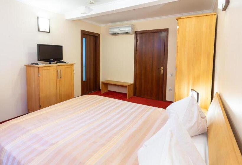 スタンダードシングルルーム, Casa Danielescu