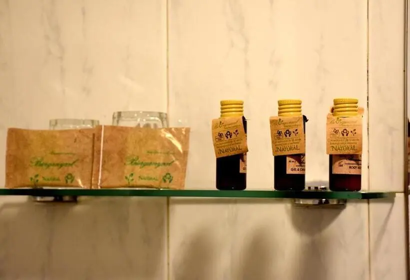 Standard Kolmen Hengen Huone, Hostal Vertisol