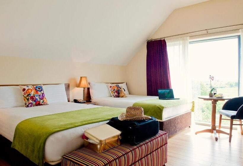 غرفة سوبيريور ذات إطلالة, Kinvara Guesthouse