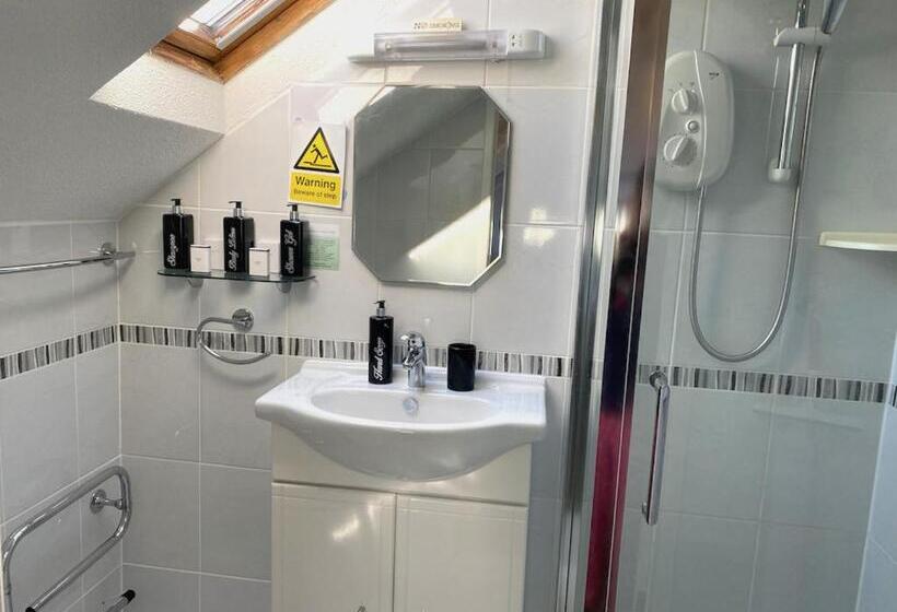 اتاق عادی, The Ashleigh